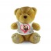 Teddy bear "LOVE" 25cm.